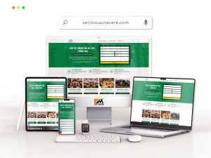 Website Xe LimousineVere